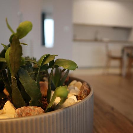 Apartament Na Ptasiej Γκντανσκ Εξωτερικό φωτογραφία