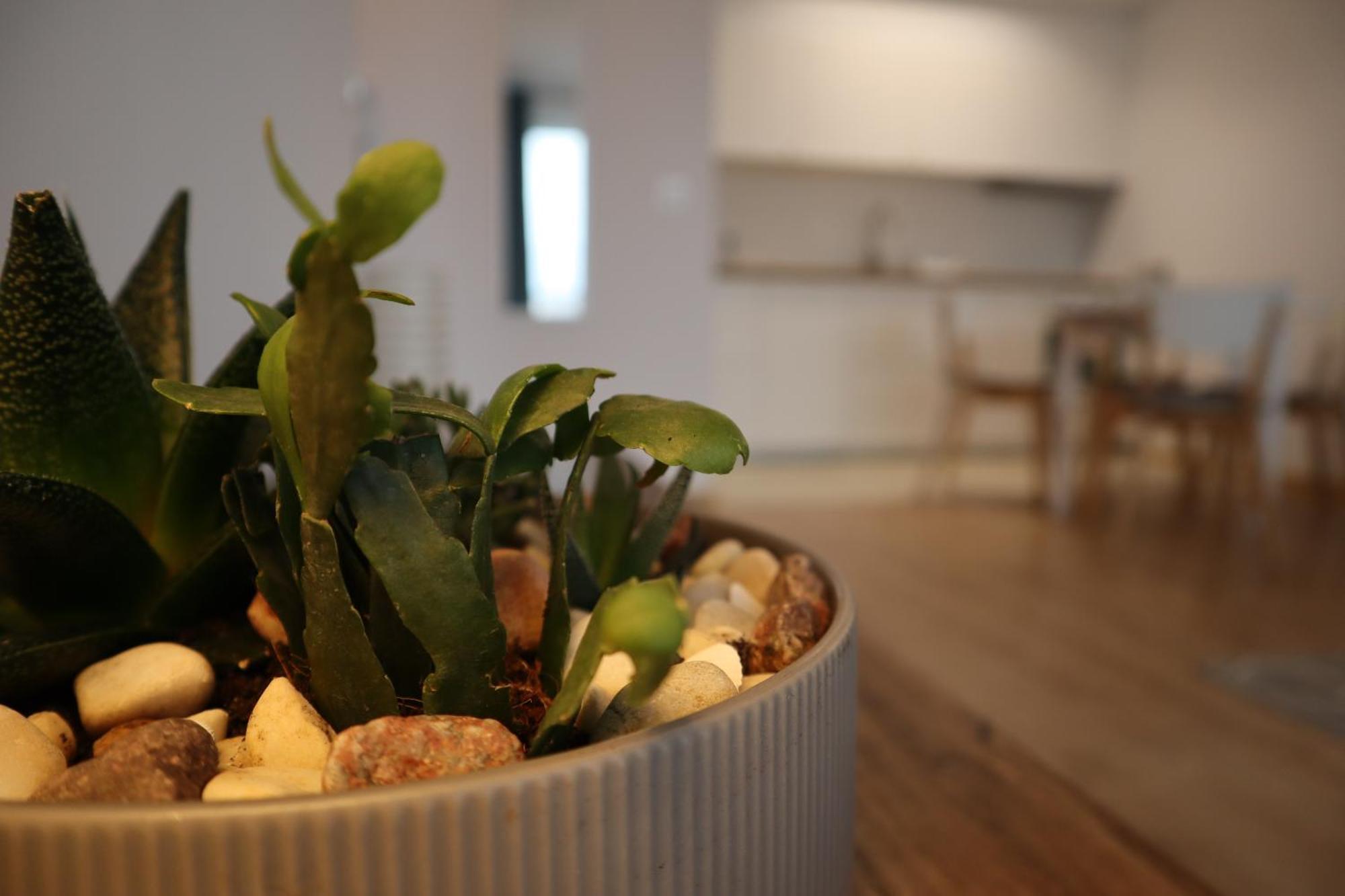 Apartament Na Ptasiej Γκντανσκ Εξωτερικό φωτογραφία